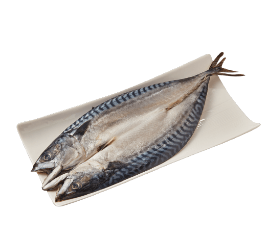 【分批取貨】時尚挪威鹽鯖魚