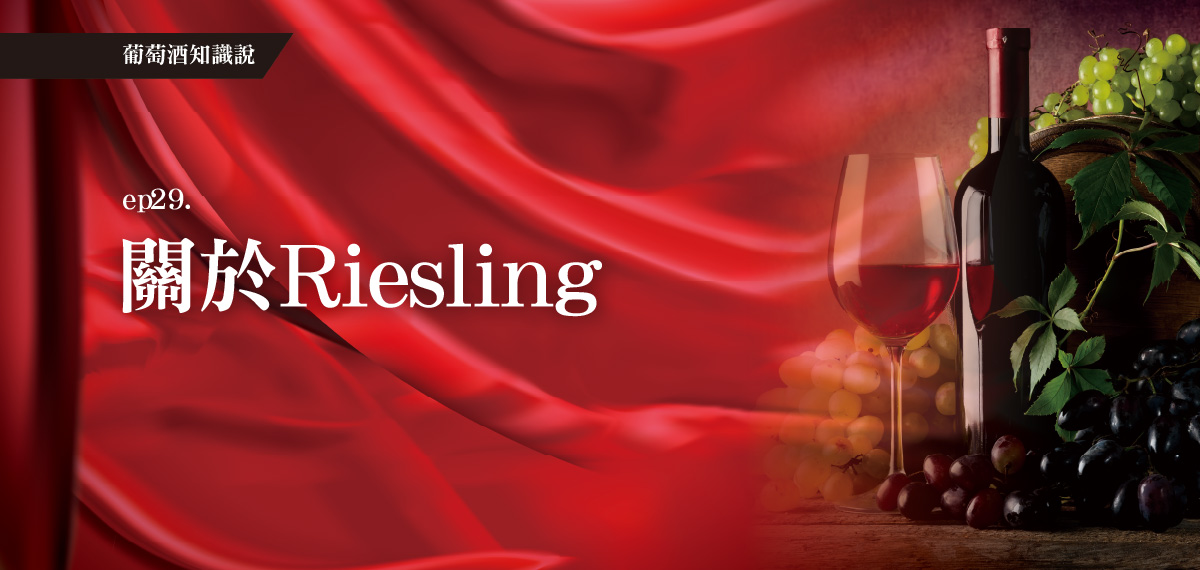 全聯葡萄酒知識說。EP29關於Riesling