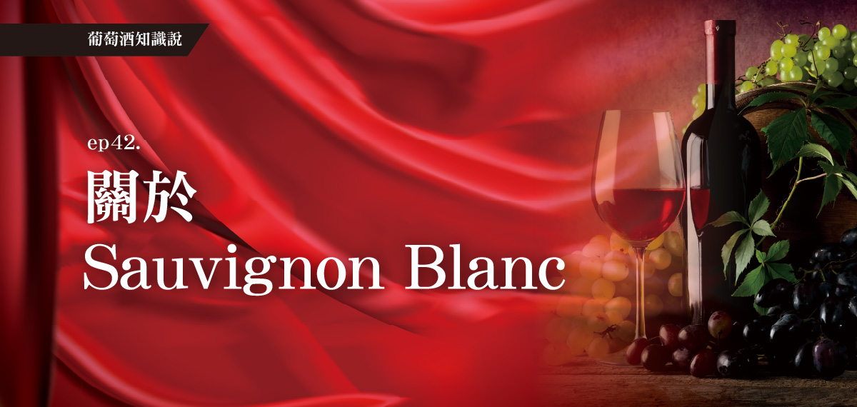 全聯葡萄酒知識說。EP42關於Sauvignon Blanc