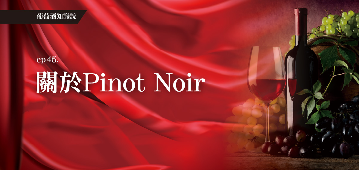 全聯葡萄酒知識說。EP45關於Pinot Noir