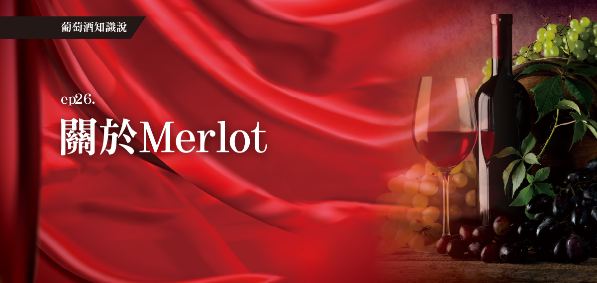 全聯葡萄酒知識說。EP26關於Merlot？